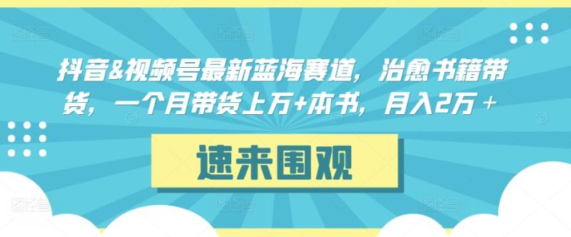 抖音&视频号最新蓝海赛道，治愈书籍带货，一个月带货上万 本书，月入2万＋【揭秘】