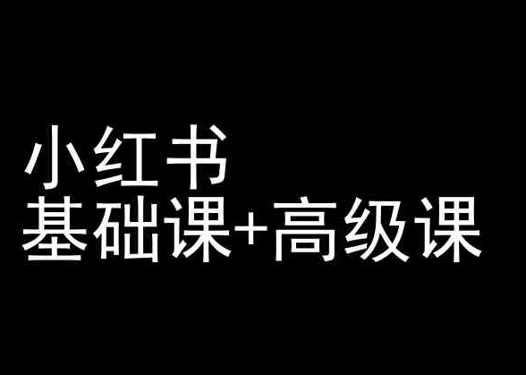 小红书基础课 高级课-小红书运营教程