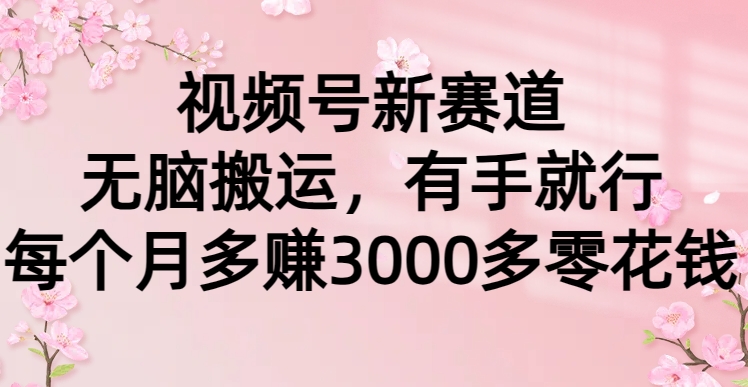 图片[1]-视频号新赛道，无脑搬运，有手就行，每个月多赚3000多零花钱-淘金部落