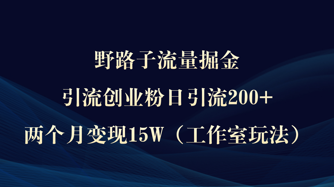 图片[1]-野路子流量掘金，引流创业粉日引流200+，两个月变现15W（工作室玩法））-淘金部落