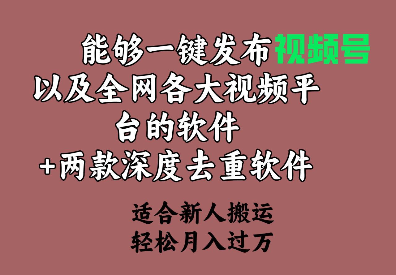 图片[1]-能够一键发布视频号以及全网各大视频平台的软件+两款深度去重软件-淘金部落