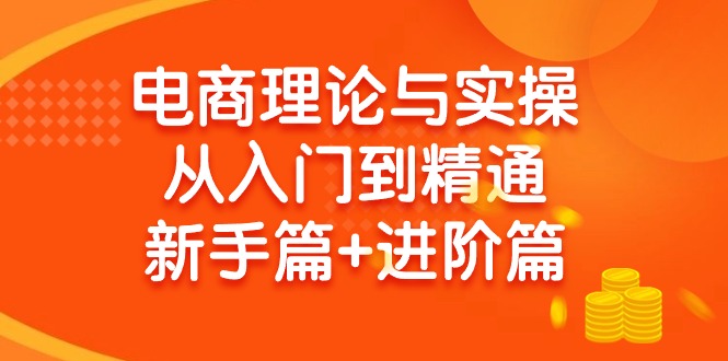 图片[1]-电商理论与实操从入门到精通：抖店+淘系+多多，新手篇+进阶篇-淘金部落