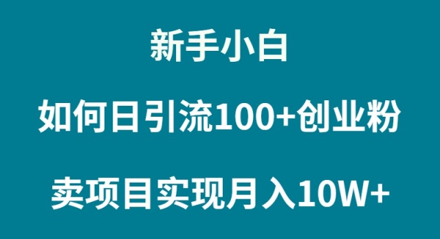 图片[1]-普通人小白如何通过卖项目实现月入10W+-淘金部落