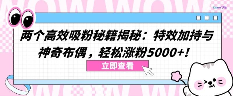 两个高效吸粉秘籍揭秘：特效加持与神奇布偶，轻松涨粉5000 【揭秘】