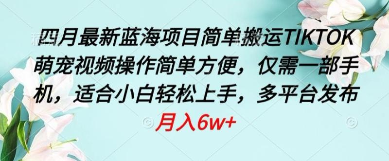 2024蓝海项目，简单搬运TIKTOK萌宠视频，操作简单方便，仅需一部手机【揭秘】