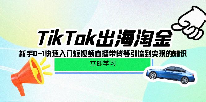 图片[1]-TikTok-出海淘金，新手0-1快速入门短视频直播带货等引流到变现的知识-淘金部落