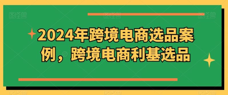 2024年跨境电商选品案例，跨境电商利基选品 -1