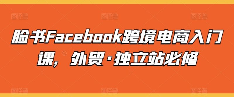 脸书FACEBOOK跨境电商入门课，外贸·独立站必修 -1