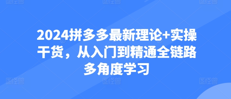 2024拼多多最新理论+实操干货，从入门到精通全链路多角度学习 -1