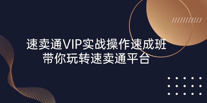 图片[1]-速卖通 VIP实战操作-速成班，带你玩转速卖通平台（23节）-淘金部落