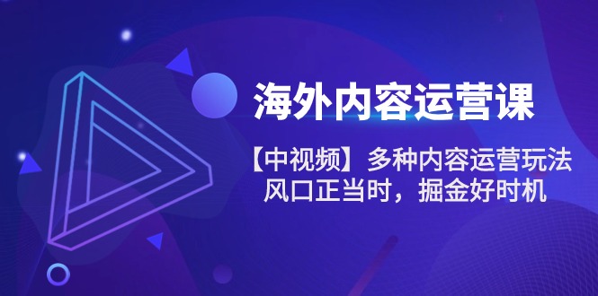 图片[1]-海外内容 运营课【中视频】多种内容运营玩法 风口正当时 掘金好时机-101节-淘金部落