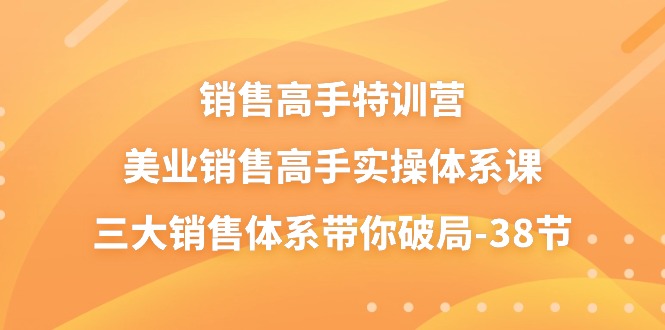 图片[1]-销售-高手特训营，美业-销售高手实操体系课，三大销售体系带你破局-38节-淘金部落