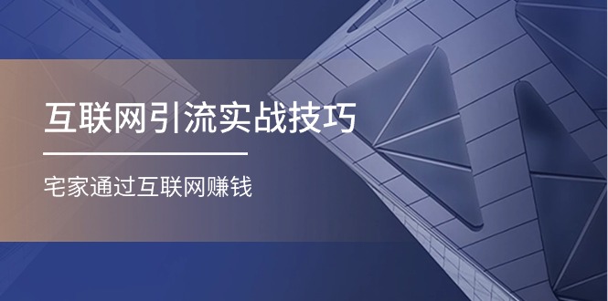 图片[1]-互联网引流实操技巧(适合微商，吸引宝妈)，宅家通过互联网赚钱（17节）-淘金部落