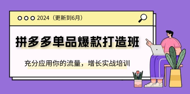 图片[1]-2024拼多多-单品爆款打造班(更新6月)，充分应用你的流量，增长实战培训-淘金部落