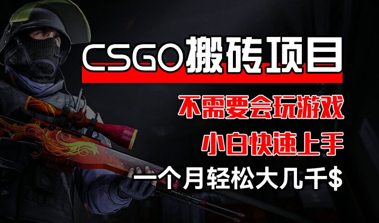 CSGO 装备搬砖项目，操作简单，不需要会玩游戏，小白也能快速上手，一个月轻松大几千【揭秘】 -1