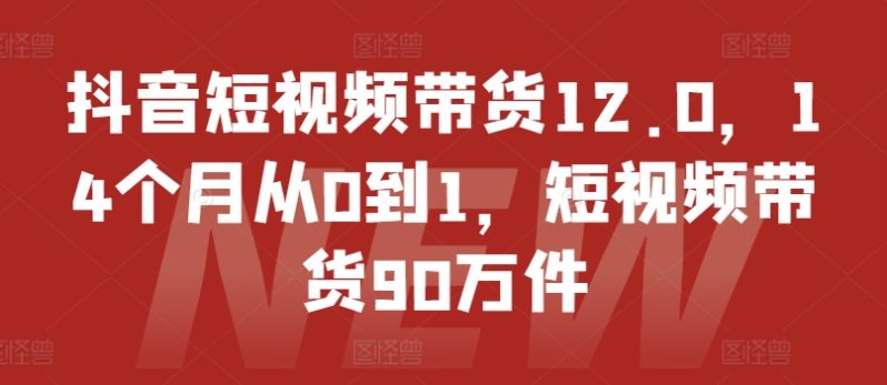 抖音短视频带货12.0，14个月从0到1，短视频带货90万件 -1