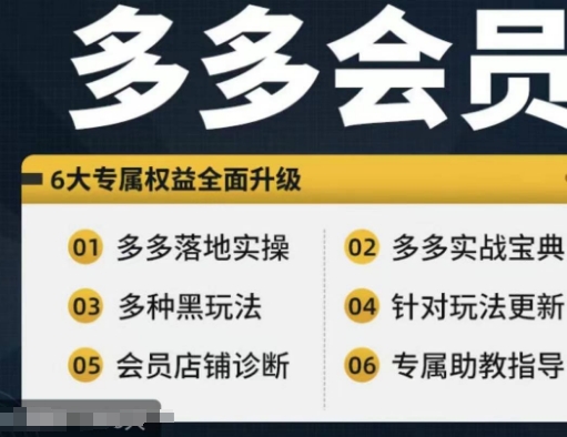 拼多多会员，拼多多实战宝典+实战落地实操，从新手到高阶内容全面覆盖 -1