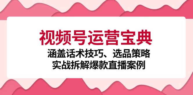 视频号运营宝典：涵盖话术技巧、选品策略、实战拆解爆款直播案例 -1