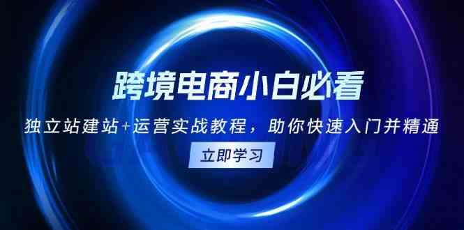 跨境电商小白必看！独立站建站+运营实战教程，助你快速入门并精通 -1