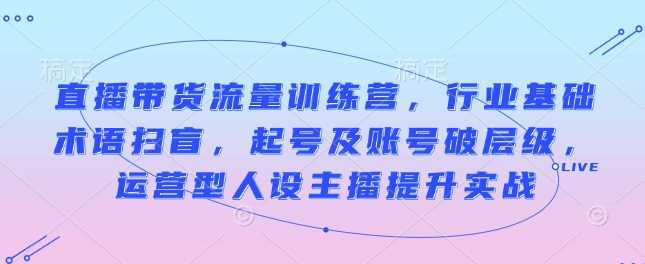 直播带货流量训练营，行业基础术语扫盲，起号及账号破层级，运营型人设主播提升实战 -1