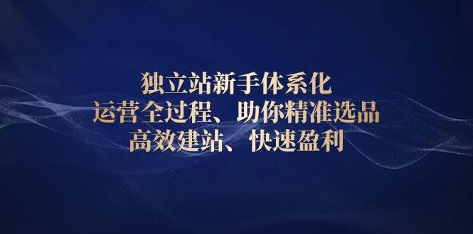 独立站新手体系化 运营全过程，助你精准选品、高效建站、快速盈利 -1