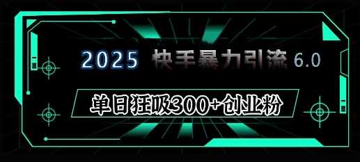 2025年快手6.0保姆级教程震撼来袭，单日狂吸300+精准创业粉 -1