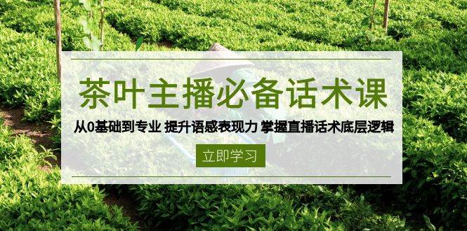 茶叶 主播必备话术课 从0基础到专业 提升语感表现力 掌握直播话术底层逻辑 -1