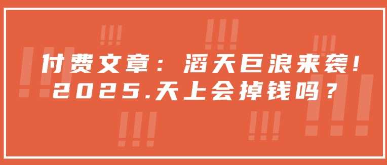 付费文章：滔天巨浪来袭！2025天上会掉钱吗？ -1